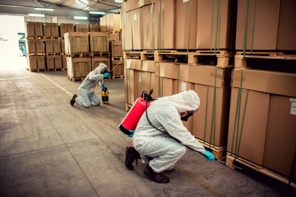 Best Pest Control Near Me  in Westgate, FL