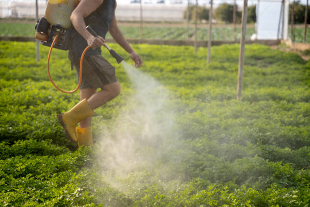 Best Mosquito Control Services  in Westgate, FL