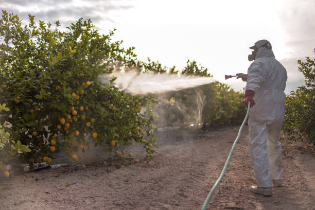 Best Pest Inspection Near Me  in Westgate, FL