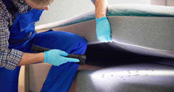 Best Flea Control Services  in Westgate, FL